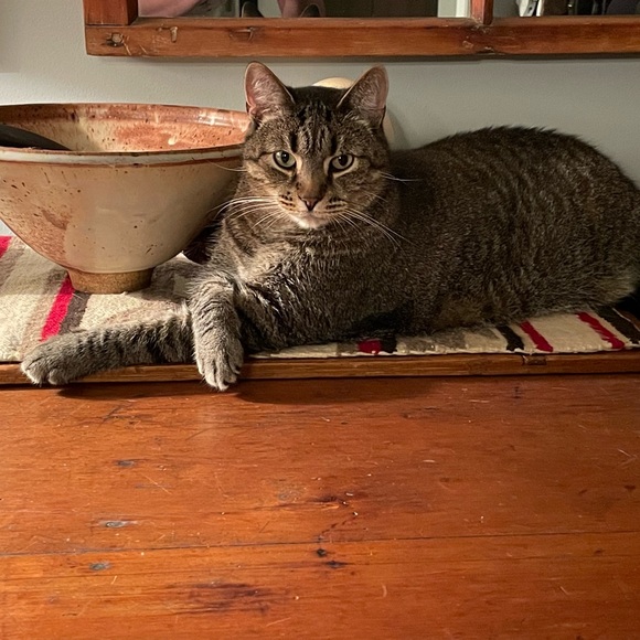 Meet your Posher, James - Picture 9 of 16